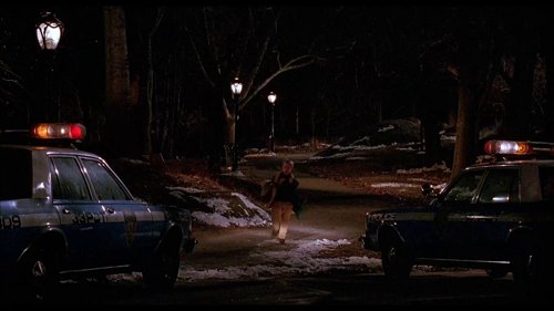 home_alone_2:_lost_in_new_york_frame_1738862951.298368.jpg