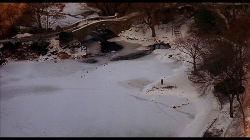 home_alone_2:_lost_in_new_york_frame_1738862953.2164943.jpg