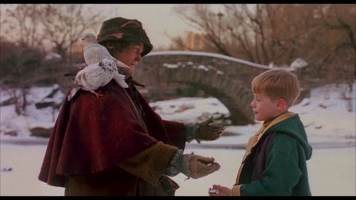 home_alone_2:_lost_in_new_york_frame_1738862953.5042388.jpg