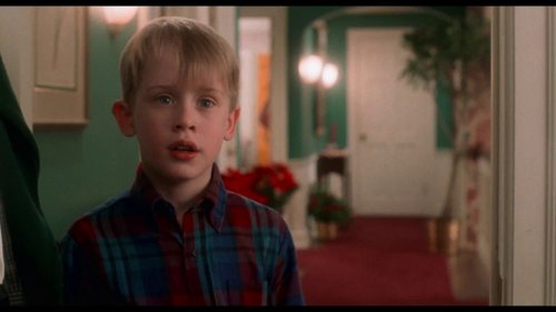 home_alone_frame_1738862865.8858235.jpg