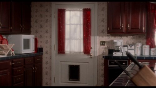 home_alone_frame_1738862870.3302445.jpg