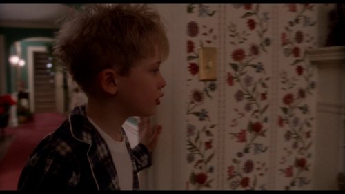 home_alone_frame_1738862870.5854888.jpg