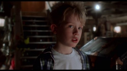 home_alone_frame_1738862870.8411043.jpg