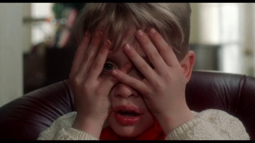 home_alone_frame_1738862871.9190812.jpg