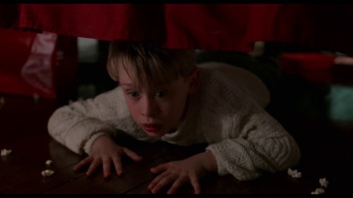 home_alone_frame_1738862873.3727508.jpg