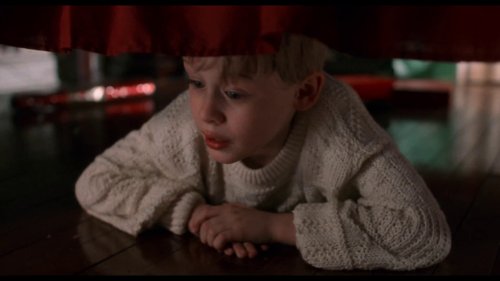 home_alone_frame_1738862873.615581.jpg