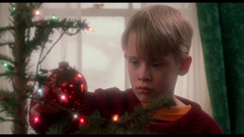 home_alone_frame_1738862882.6289043.jpg