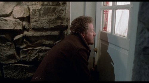 home_alone_frame_1738862886.614607.jpg