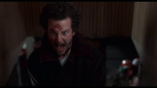 home_alone_frame_1738862887.180991.jpg