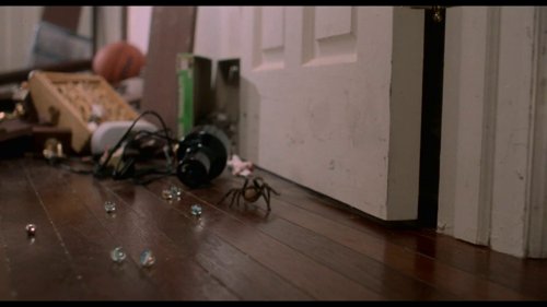 home_alone_frame_1738862888.4490705.jpg