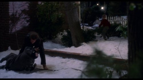 home_alone_frame_1738862888.8802166.jpg