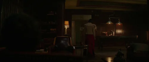 hotel_artemis_frame_1749598304.5366416.webp