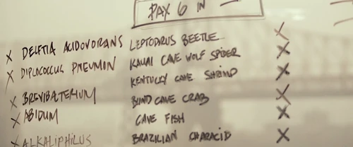 i_origins_frame_100.webp