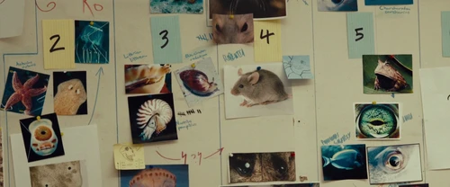 i_origins_frame_40.webp