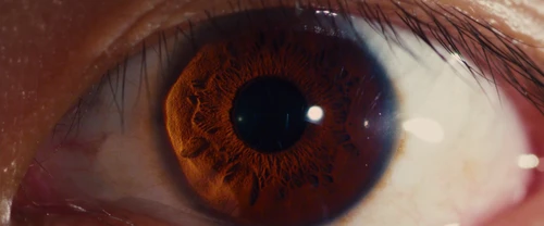 i_origins_frame_4.webp