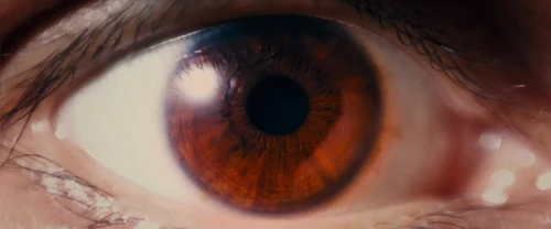 i_origins_frame_7.webp