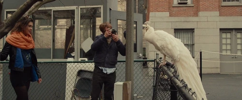 i_origins_frame_84.webp