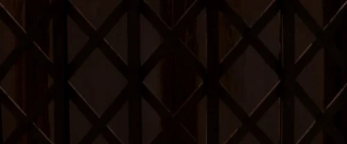 inception_frame_1738665578.9224012.webp