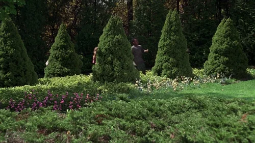 it_takes_two_frame_1739210665.7249634.webp