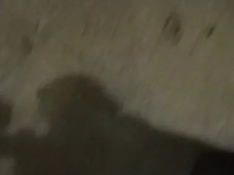 _frame_2.0020000000000002.webp