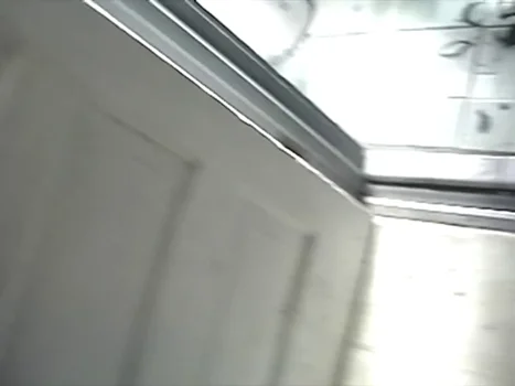 _frame_220.22.webp