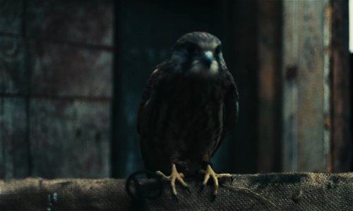 kes_frames_frame_195.jpg