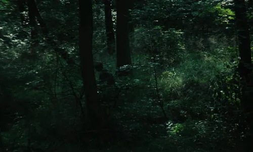 kes_frames_frame_34.webp