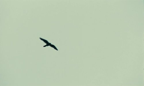 kes_frames_frame_37.jpg