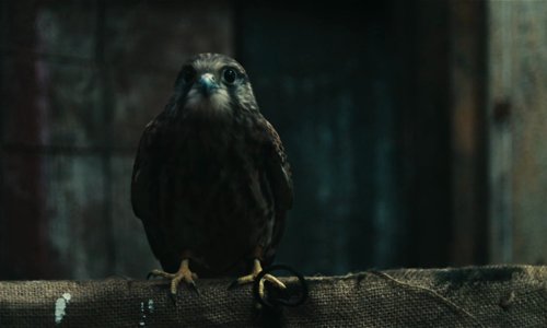 kes_frames_frame_79.jpg