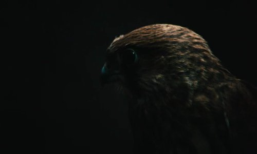 kes_frames_frame_80.jpg