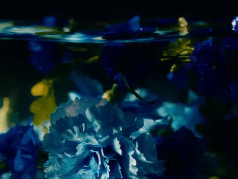 klavdia_petrivna___журба_official_video_frame_27.webp