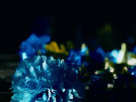 klavdia_petrivna___журба_official_video_frame_60.webp
