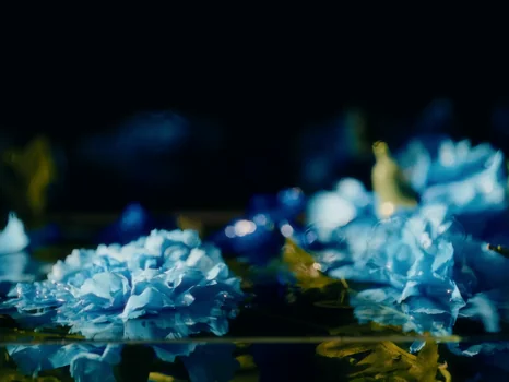 klavdia_petrivna___журба_official_video_frame_62.webp