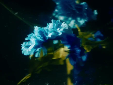 klavdia_petrivna___журба_official_video_frame_6.webp