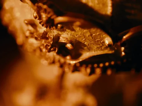 klavdia_petrivna___журба_official_video_frame_80.webp