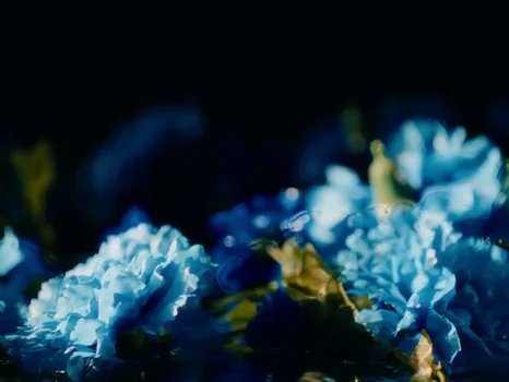 klavdia_petrivna___журба_official_video_frame_87.webp