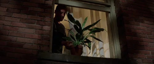 léon_the_professional_frames_frame_347.webp