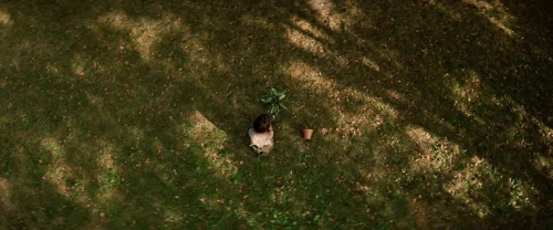léon_the_professional_frames_frame_450.webp