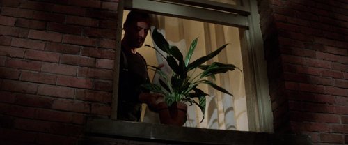 léon_the_professional_frames_frame_347.jpg