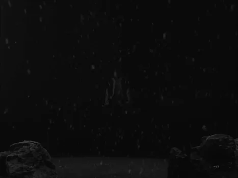 little_simz_-_flood_(official_music_video)_frame_18.0.webp