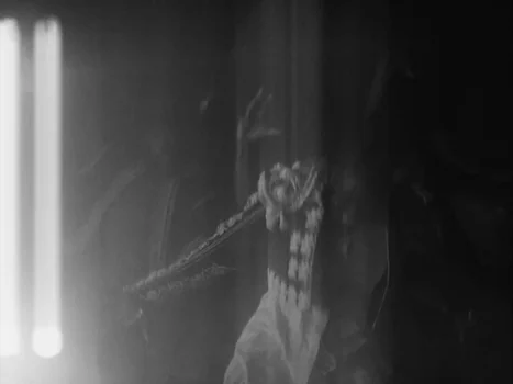 little_simz_-_flood_(official_music_video)_frame_194.0.webp