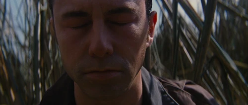 looper_frame_187.webp