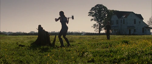 looper_frame_247.webp