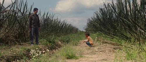 looper_frame_322.webp