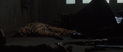 looper_frame_337.webp