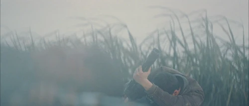 looper_frame_344.webp