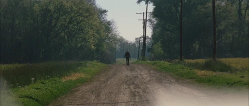 looper_frame_346.webp