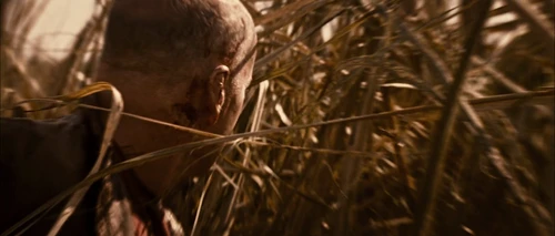 looper_frame_360.webp