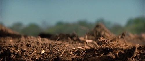 looper_frame_362.webp