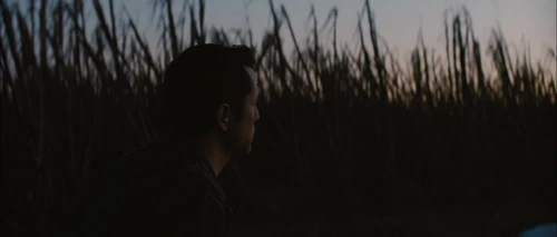 looper_frame_5.webp